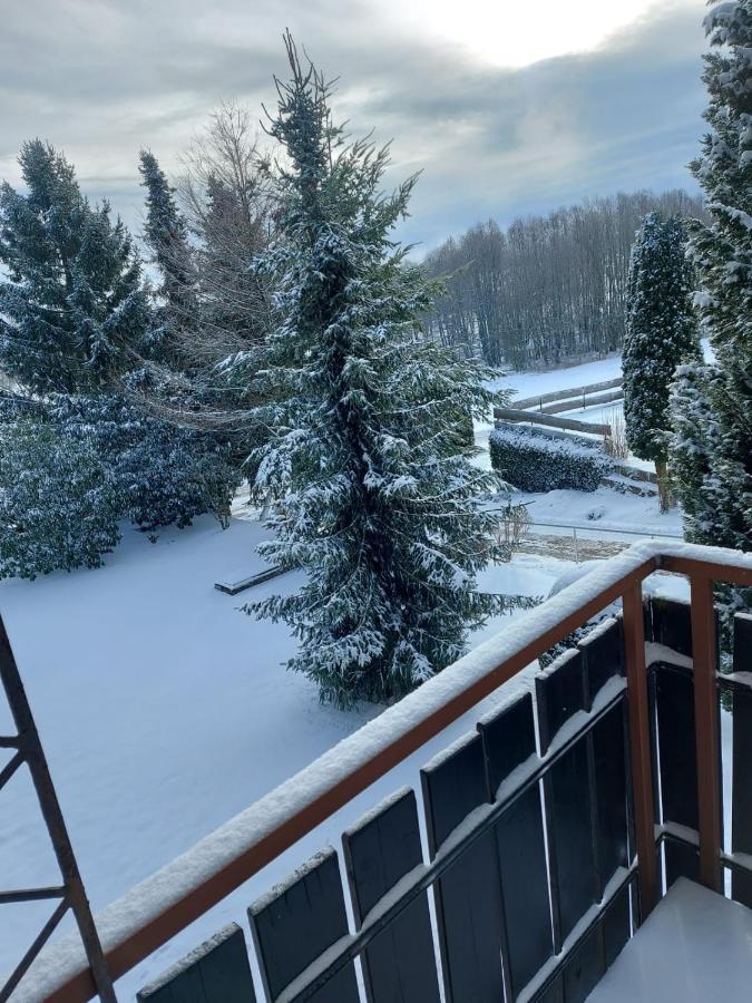 Ferienwohnung "High End" Höchenschwand Buitenkant foto